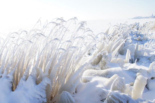 Sur les rives d'un étang