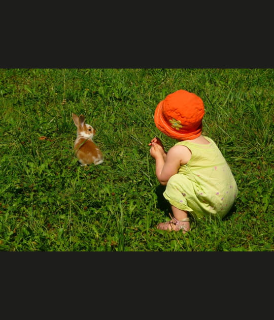 L'enfant et le lapin