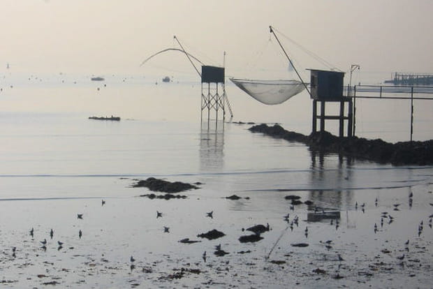 Matin d'hiver