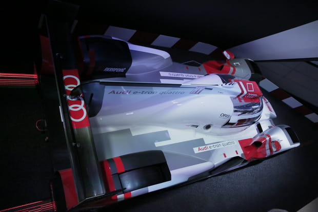 Bête de course au tournant