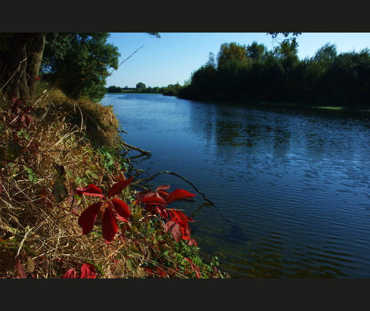 Les berges du Cher