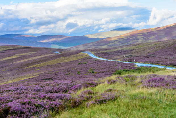 Le parc national des Cairngorms, en Ecosse