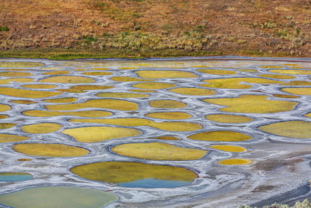 Le Spotted Lake en Colombie-Britannique