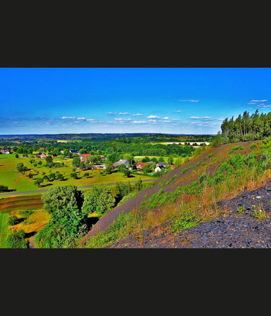 Panorama