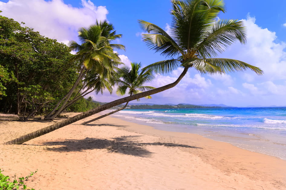 Les plages volcaniques de la Martinique