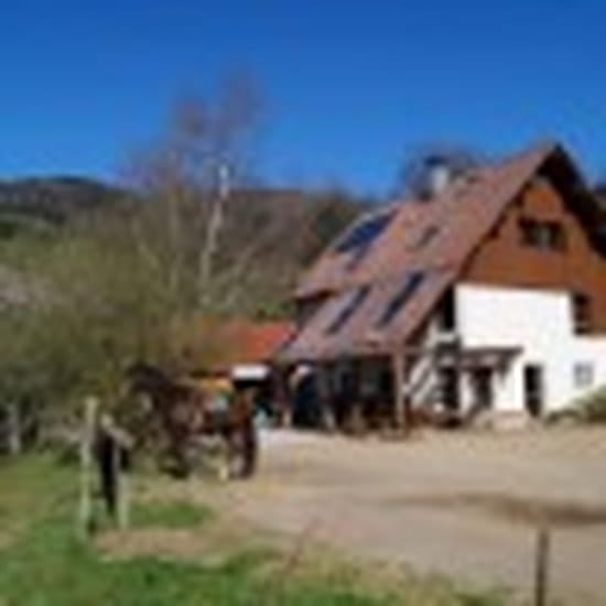 Ferme Auberge Les Restaurant de cuisine traditionnelle à Bourbachlehaut avec