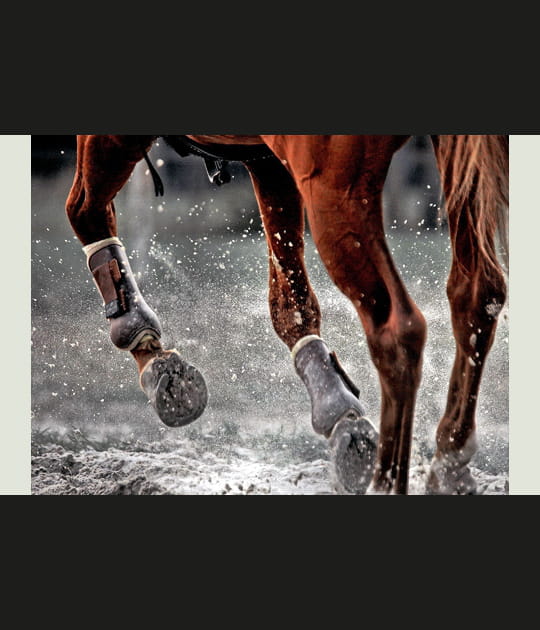 Galop
