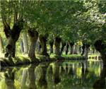 marais