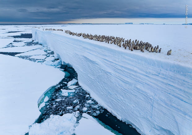 Voyage au bord de la banquise