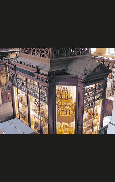 Le mus&eacute;e de mati&egrave;re m&eacute;dicale