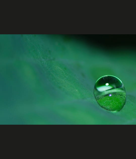 Goutte d'eau verte
