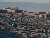 Wild Trips : Maroc