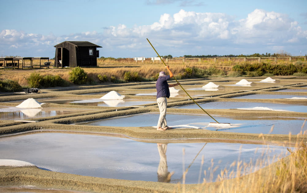 Les marais Salants de Gu&eacute;rande dans les Pays de la Loire