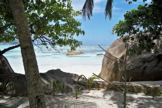 Les îles de rêve pour flemmarder