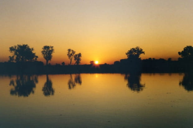 Darwin : Symmétrie au crépuscule