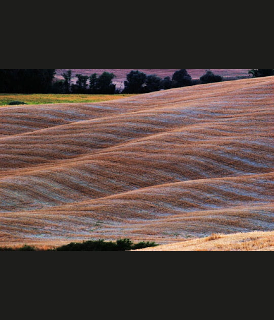 Les couleurs de la Toscane