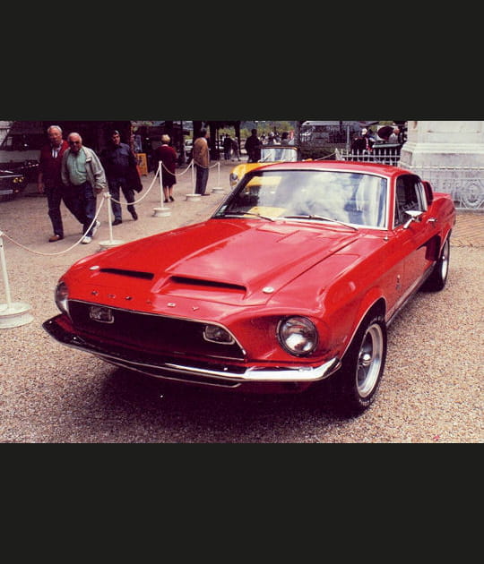 Shelby GT 500