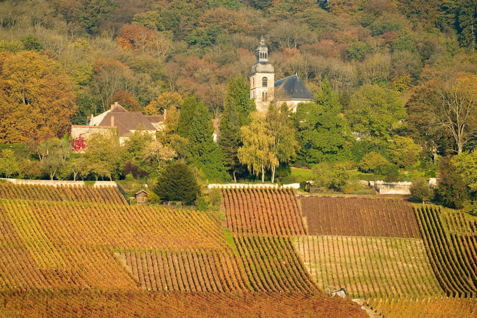 L'abbaye d'Hautvillers