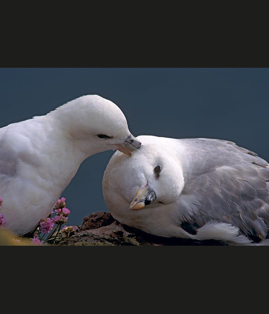 Moment de tendresse