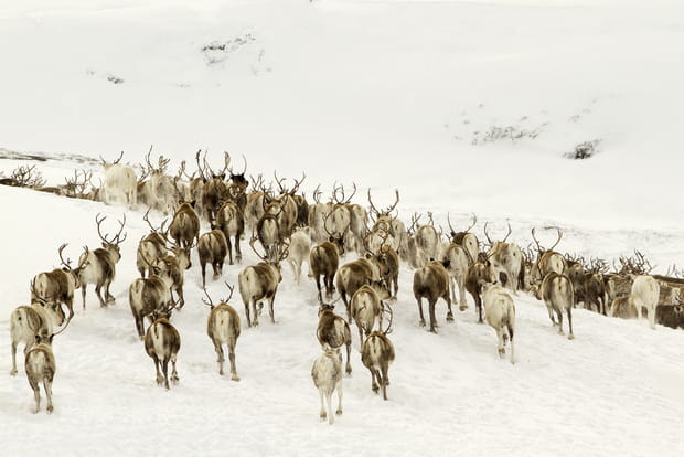 Les Saisons - Photo 5