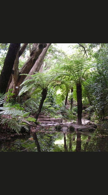 La route des jardins en Afrique du Sud