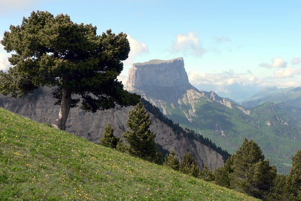 Le Vercors