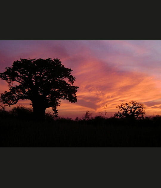 Couleurs du soir