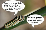 les meilleures devinettes des lecteurs 