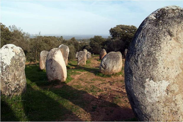 Une forêt de pierres