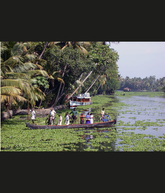 Inde&nbsp;: les backwaters du Kerala