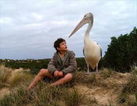 Storm Boy