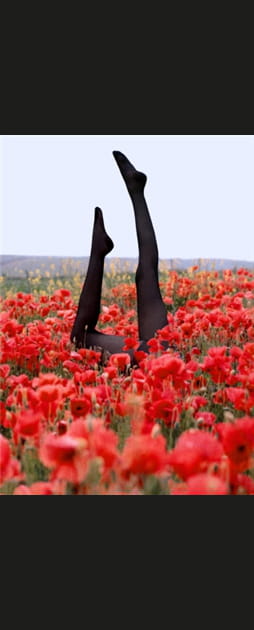 Jambes en l'air