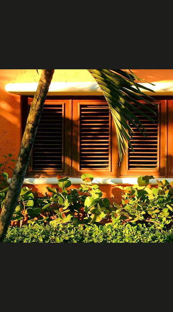 La chaleur de Saint Domingue