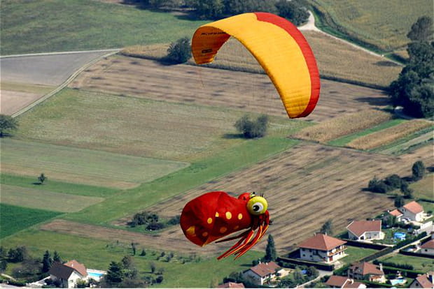 Un drôle de poulpe volant
