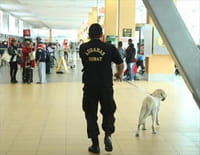 Ultimate Airport Pérou