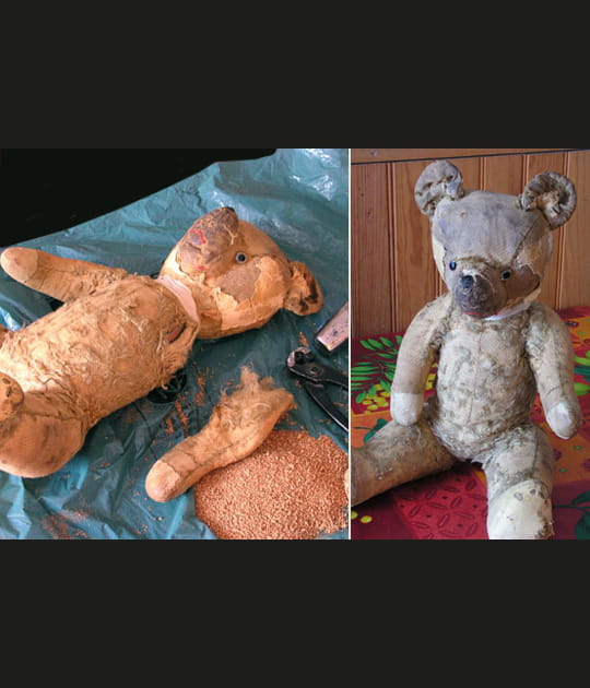 Petit ours brun
