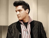 Elvis Presley : The Searcher