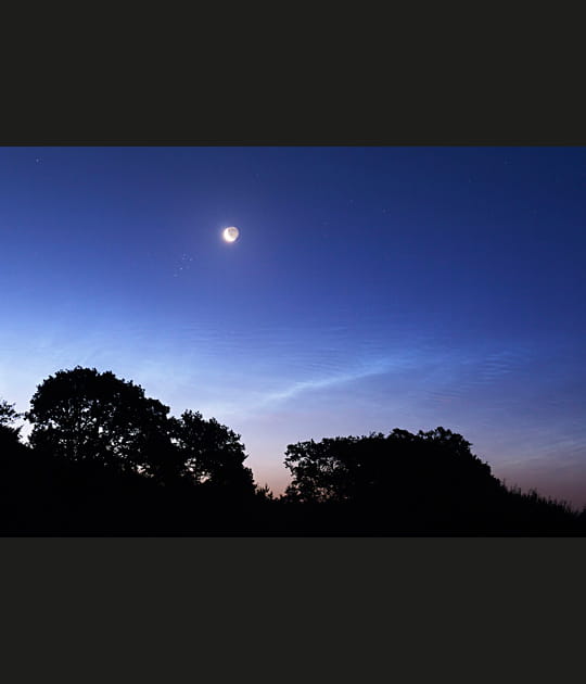 La lune derri&egrave;re une pl&eacute;iade d'arbres