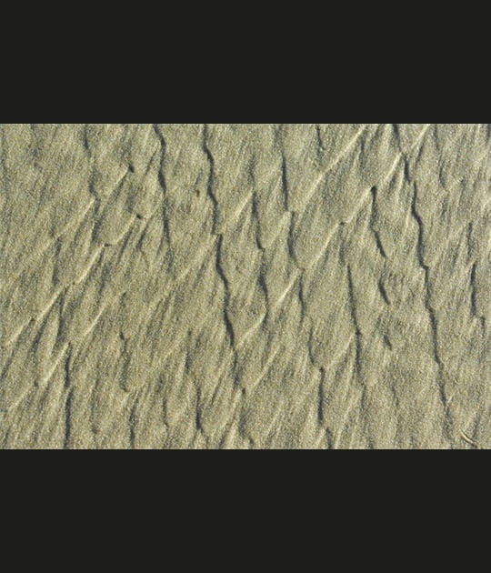 Sable 3