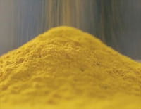 Curcuma, la poudre aux yeux ?