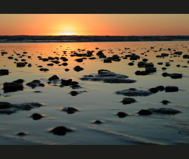 Coucher de soleil &agrave; Foxton Beach