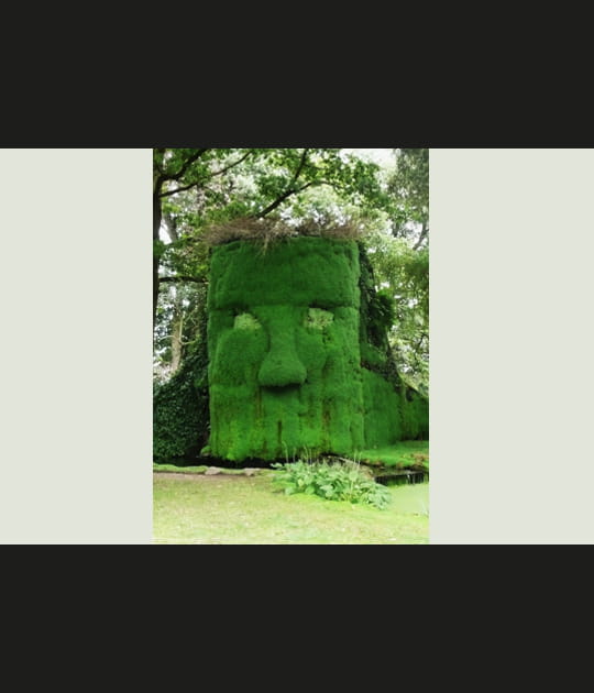 G&eacute;ant vert