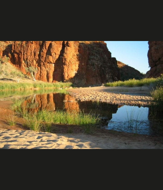 Kings creek