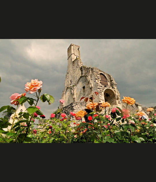 Abbaye de Chaalis