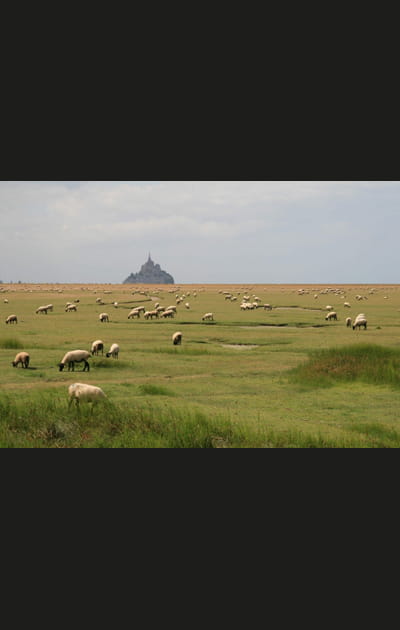 La route des abbayes normandes