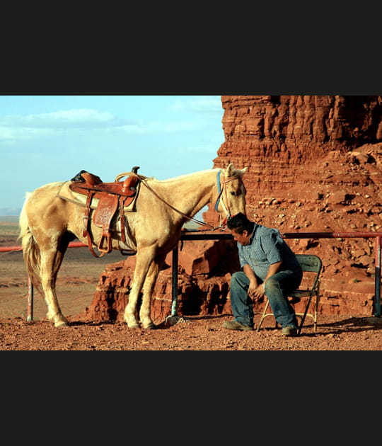 Le cheval qui murmure