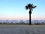 Chypre, les oubliés du Covid long