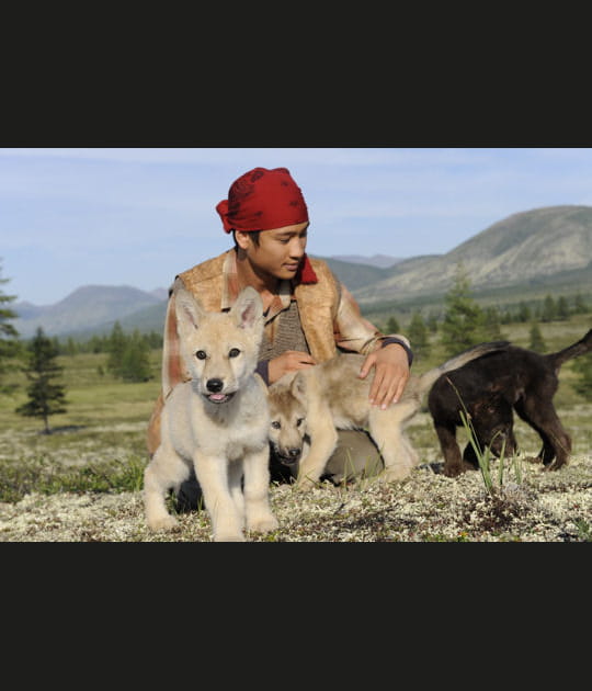 Un hymne aux paysages sauvages du Grand Nord