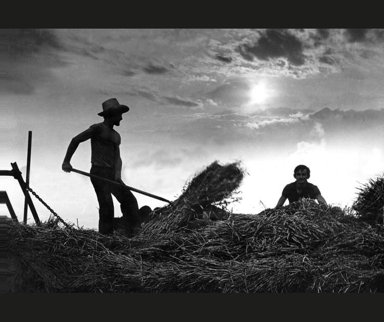Quelles images passer en noir et blanc ?