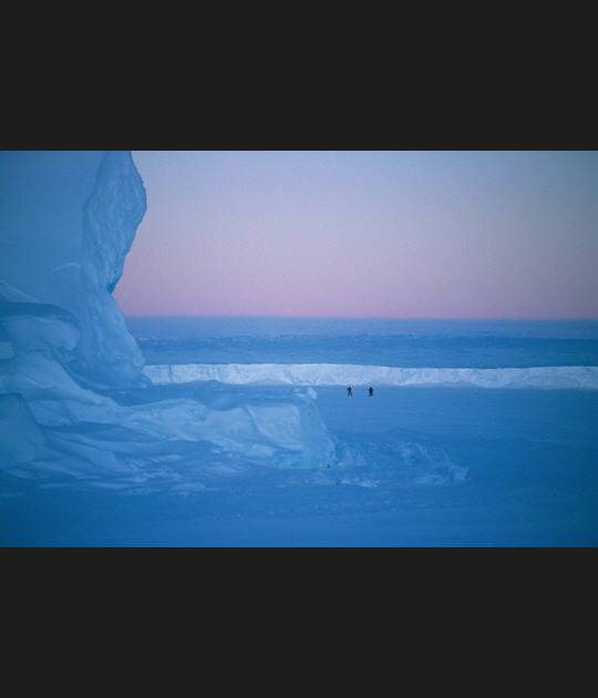 Le cama&iuml;eu antarctique